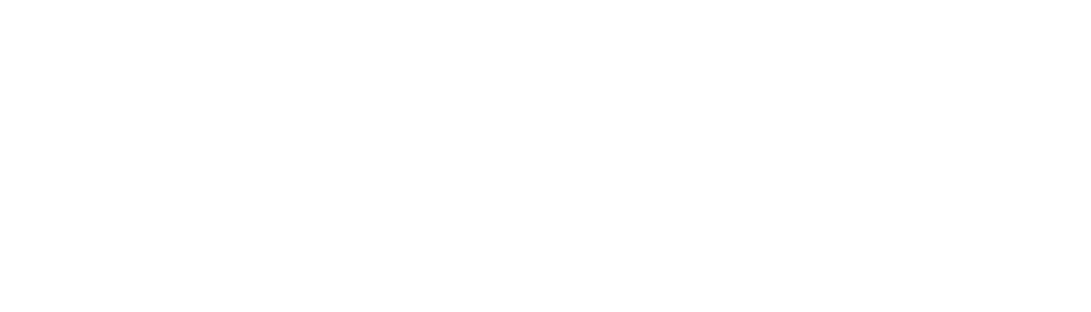 cdn.shopify.com/s/files/1/0549/4924/9159/files/295